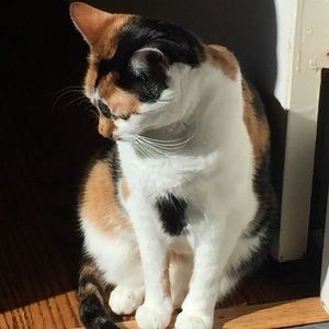 Meet your Posher, Ann